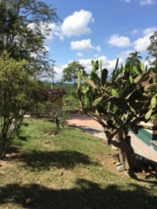 paisaje y naturalez.