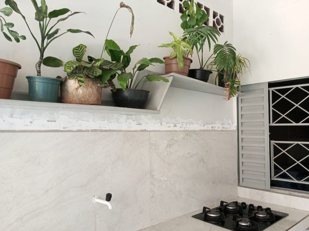 A simple kitchen features a marble countertop complemented by a gas stove. Shelves adorned with various houseplants provide a touch of greenery. A window allows natural light to enter, enhancing the tranquil environment.