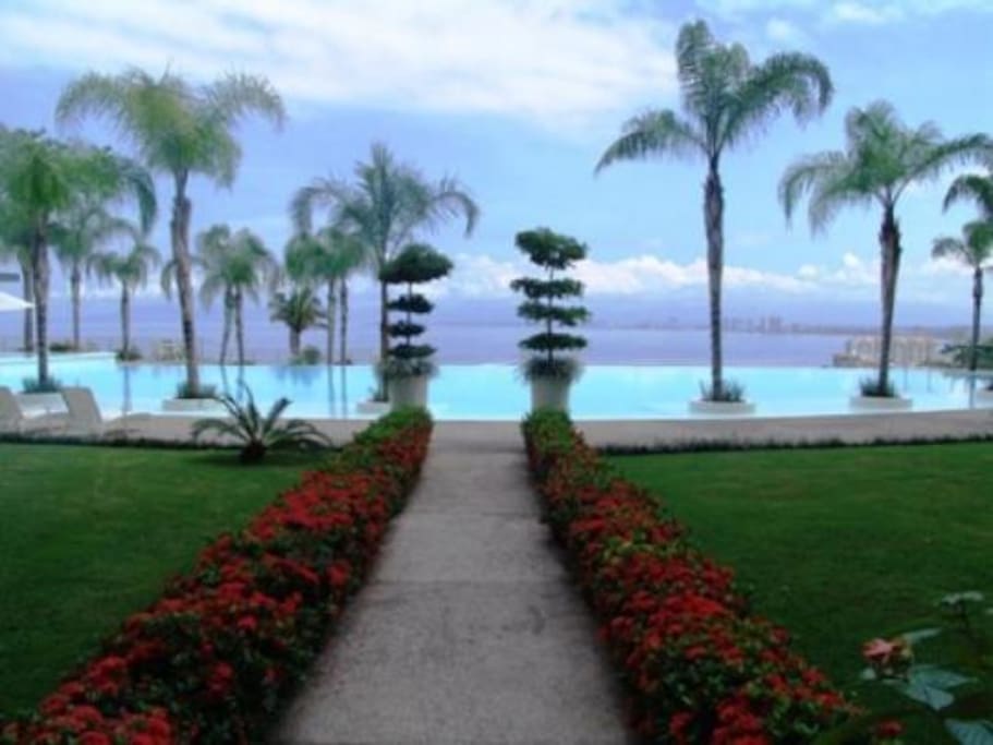 nice garden and infinite pool !