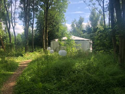 Willow Yurt