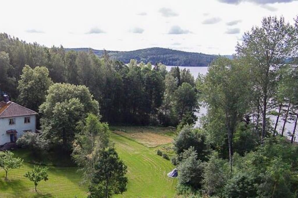 Timmerviken from above