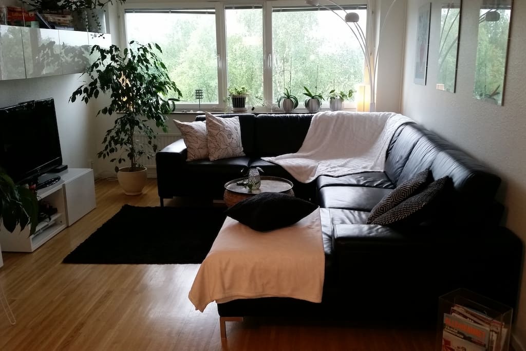 The living room. Here with the couch and TV