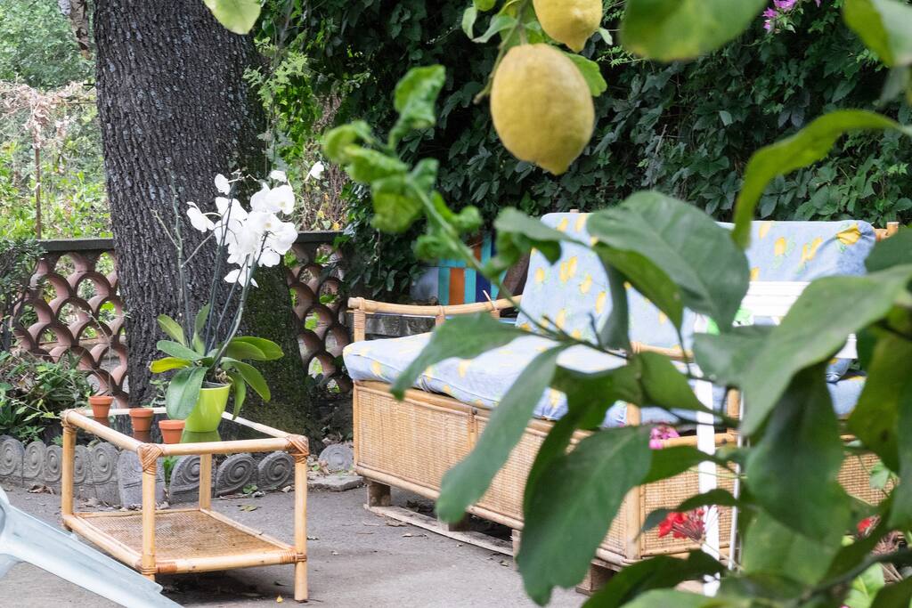 Giardino