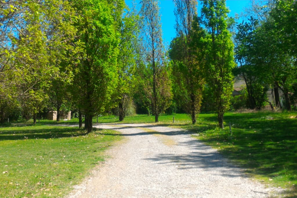 Il viale di ingresso