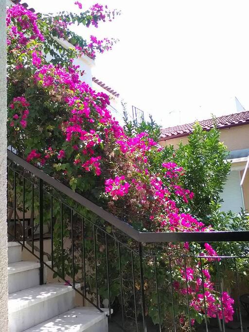Το μπαλκόνι μας..