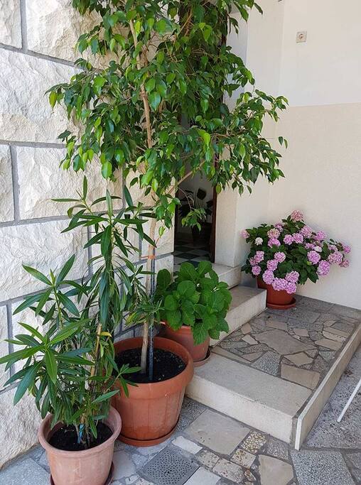 The entrance to the apartment