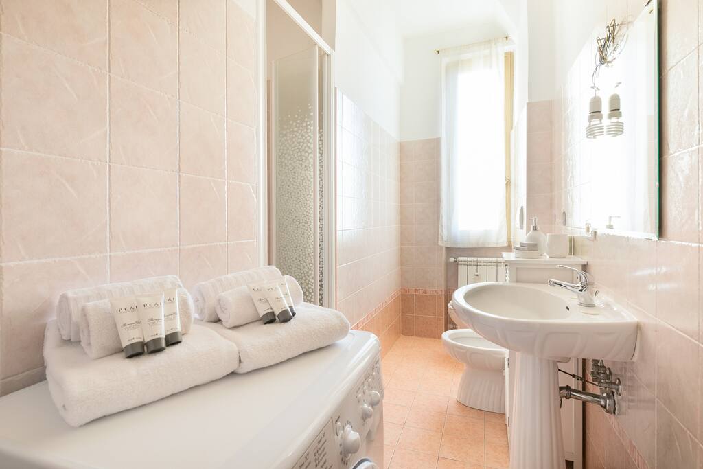 The Bathroom with the shower & the washing machine