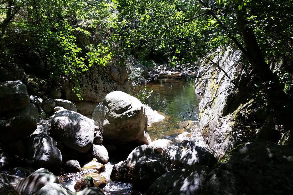 La ligne (riviere)