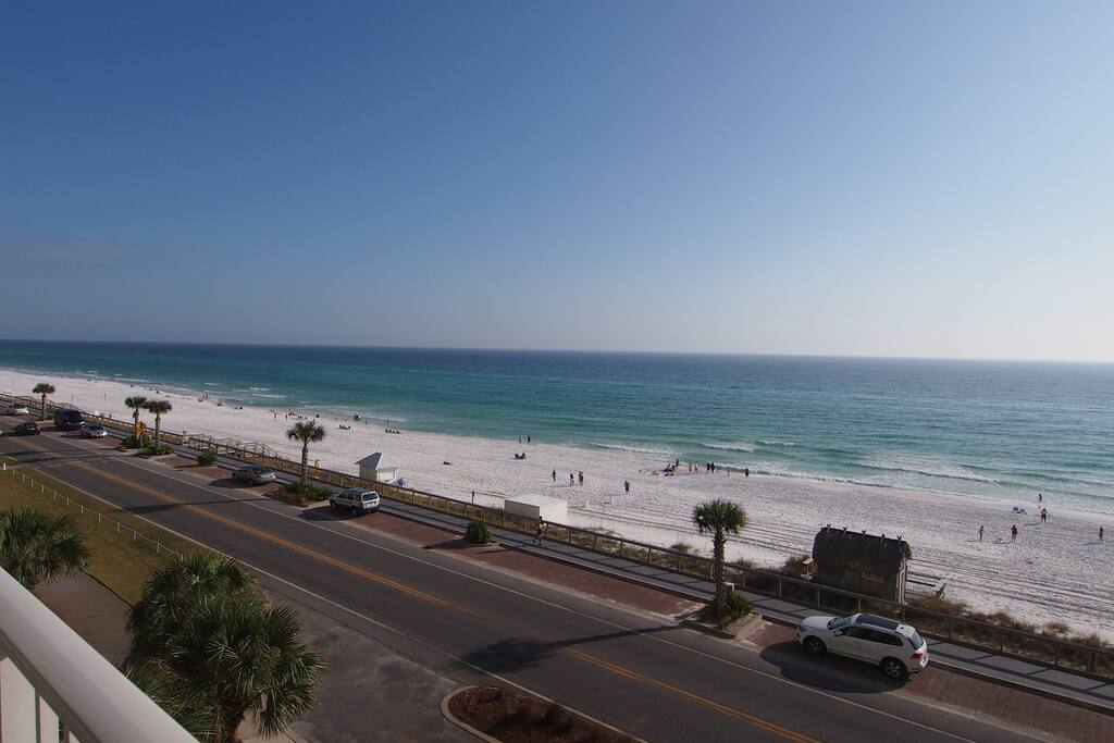 The view