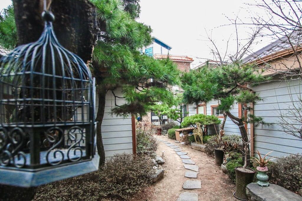 Beautiful garden in the middle city.