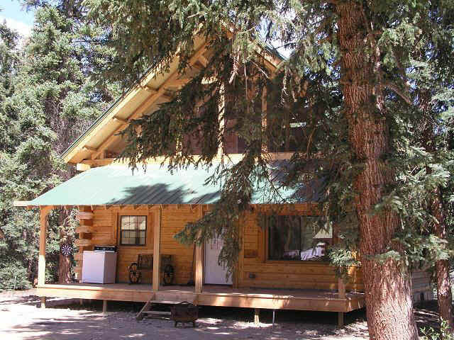 The log home is set among tall trees, featuring a sloped roof and a spacious front porch. An outdoor area is visible with seating options, and a nearby outdoor grill is included. The front wall showcases large windows, allowing natural light into the interior.