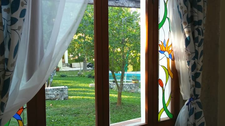 Blick auf Garten und Pool von deinem Zimmer aus