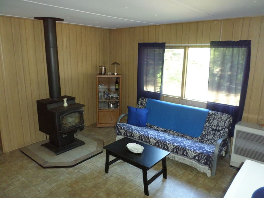 Electric heat and wood stove