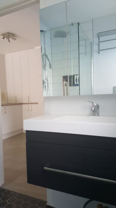 Bathroom, vanity, shower and toilet.