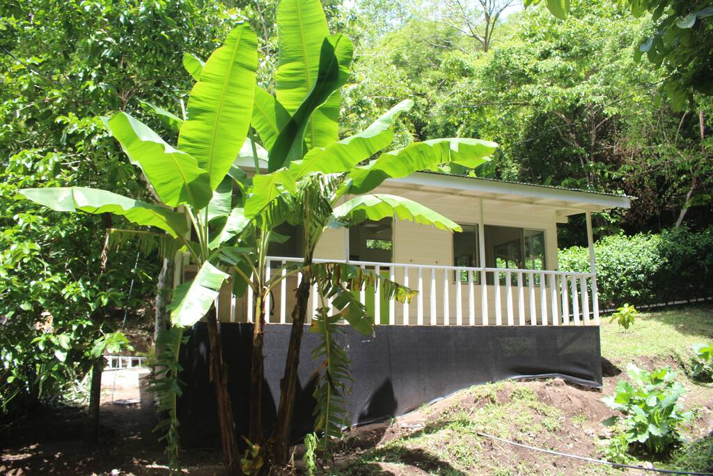 Casita Tia-back