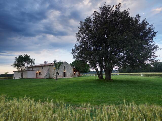 Mas Bassó. Cassà de la Selva gallery image 5