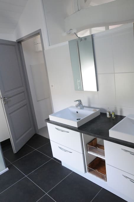 Salle de bain avec douche et WC