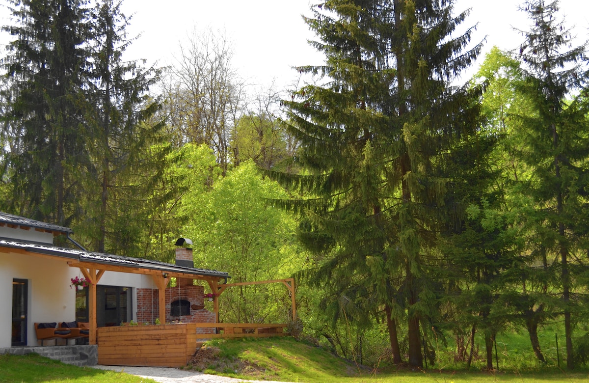 A modern villa is nestled among tall fir trees, framed by lush greenery. A wooden deck, which features a built-in fireplace, provides an inviting outdoor space. The pathway leading to the entrance is lined with fresh grass, creating a serene natural setting.