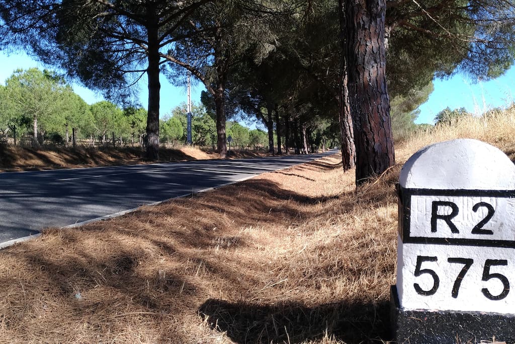Estrada Nacional 2, Chaves - Faro.