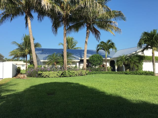 Tropical Jupiter Canal Front!