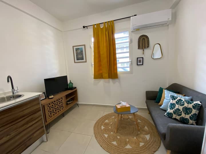 Studio bis de standing Condominiums for Rent in Cayenne