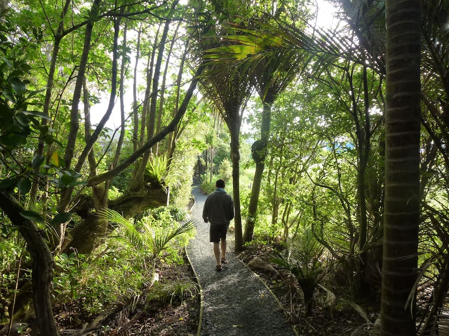 The walk through the bush to the beach