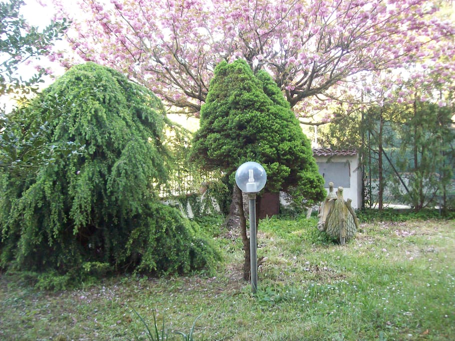 angolo giardino