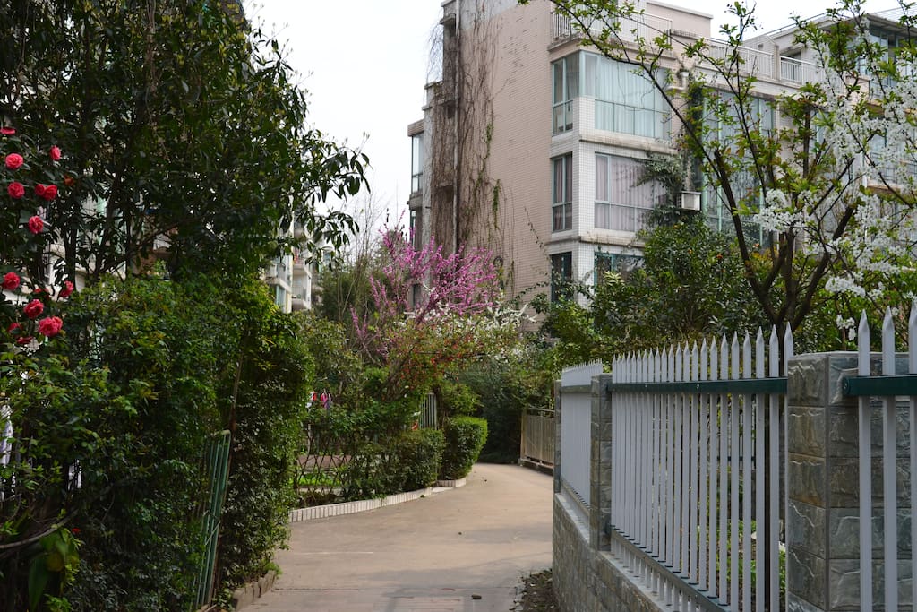 小区实景,花园洋房