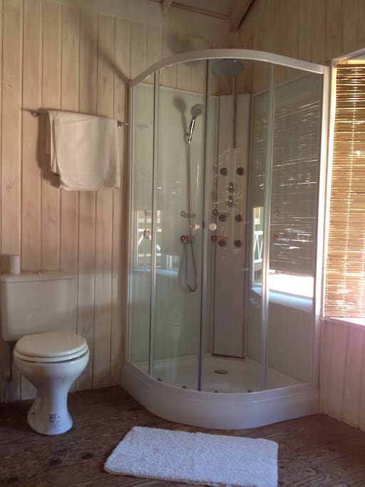 Es un baño amplio con ducha en cabina. Servicio de toallas y gel de ducha.