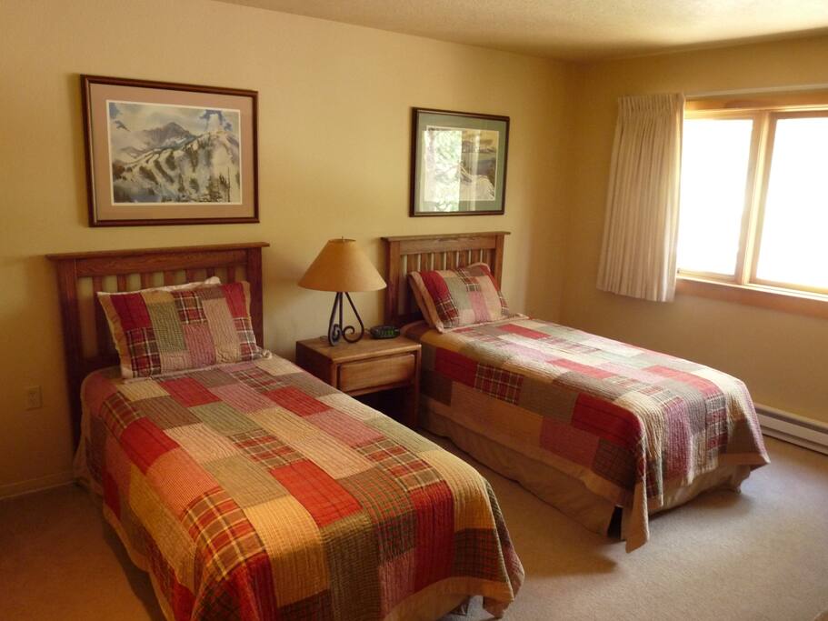Second bedroom-two twins