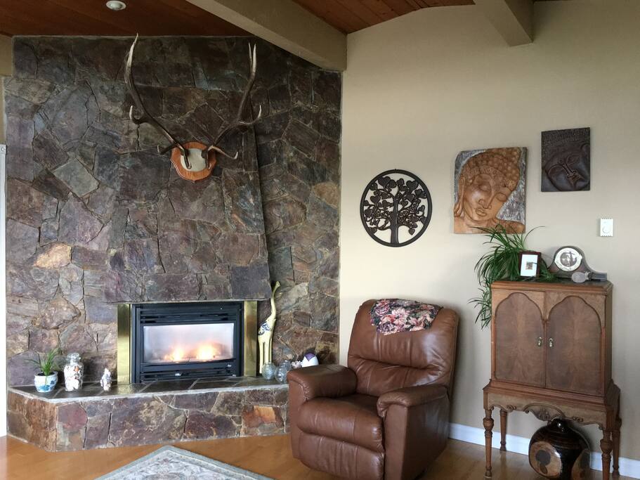 Gas fire place in the living room
