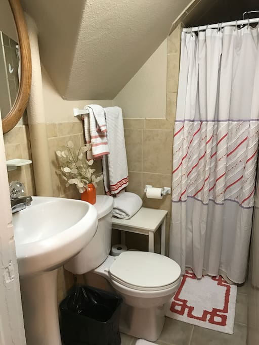Bathroom with shower.