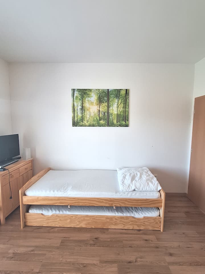 Kochi au kitanda cha sofa. 