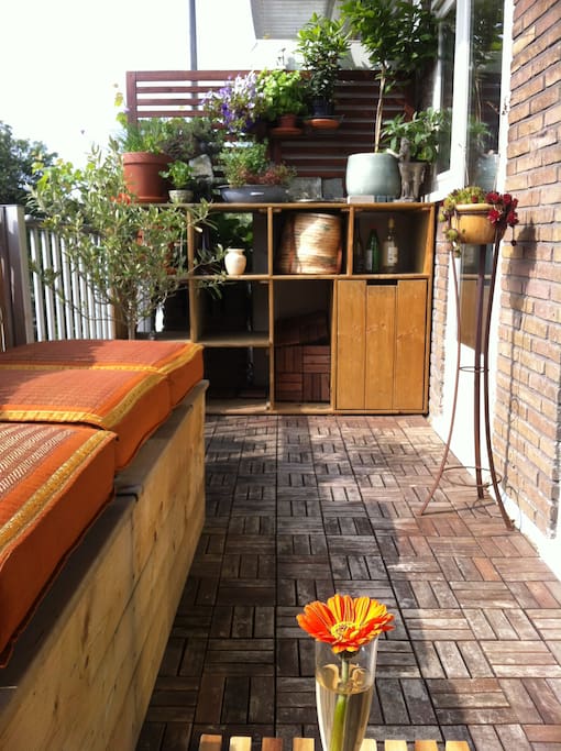 sunny terrace