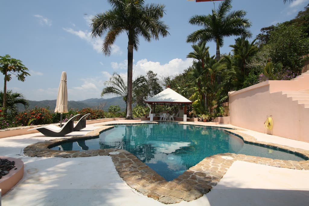 Big piscina in turtle design
