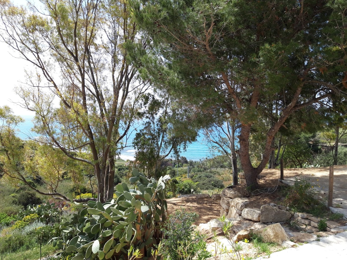 A natural landscape showcases vibrant trees and coastal vegetation, with the sea visibly stretching in the background. Sunlight filters through leaves, illuminating the area around a rocky outcrop, inviting guests to appreciate the serene environment.