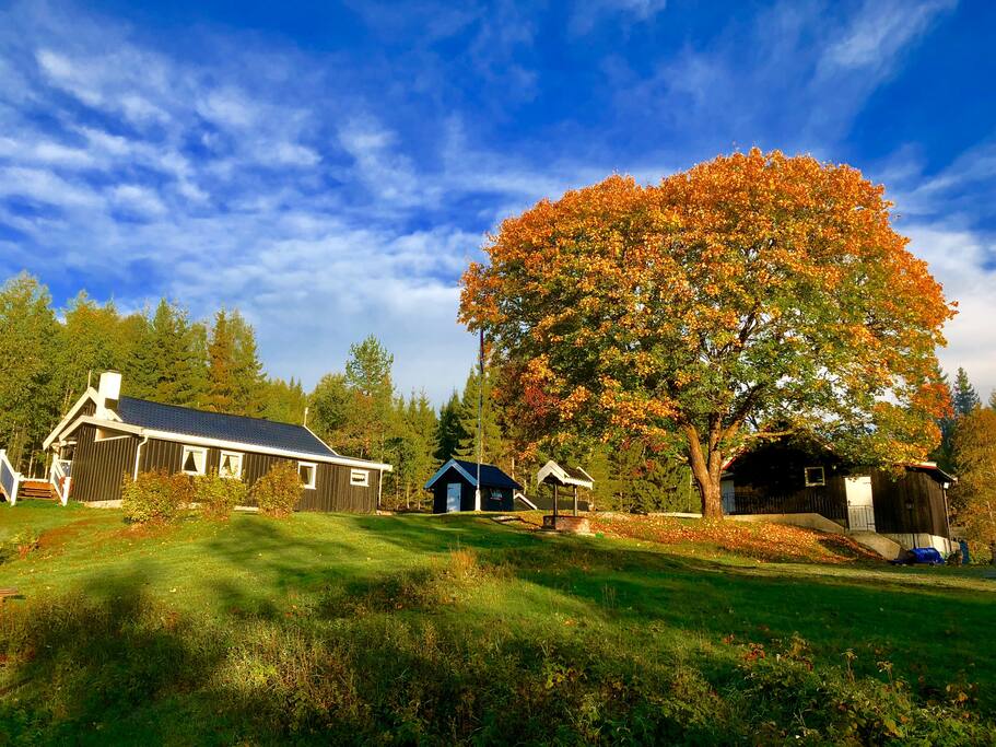 Cabin & annex