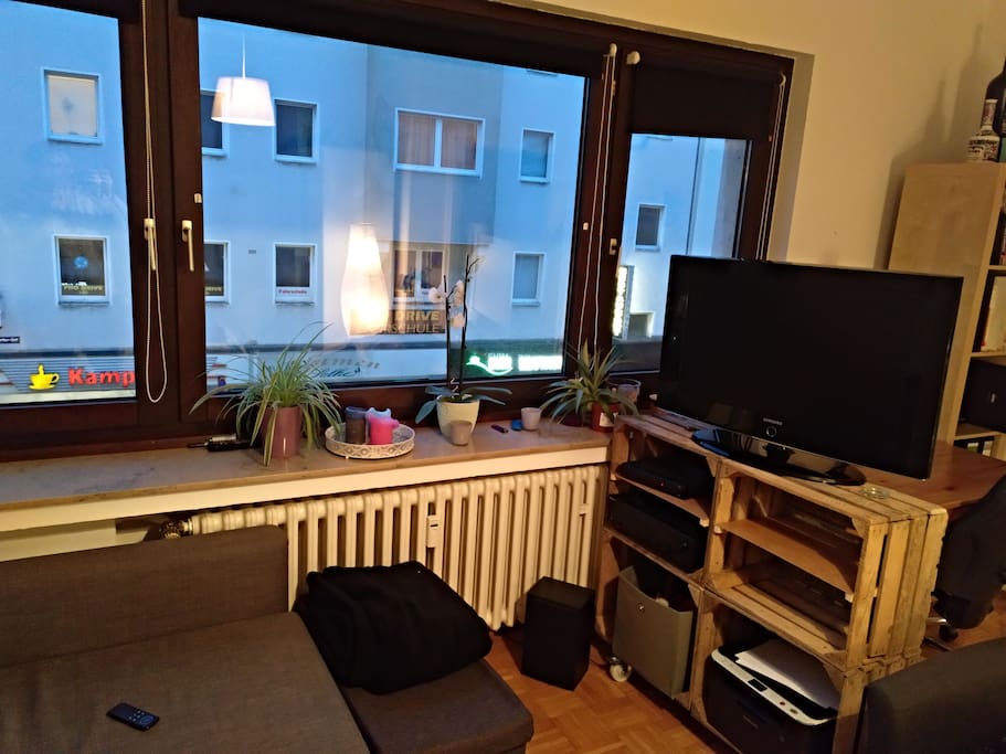 Große Fensterfront