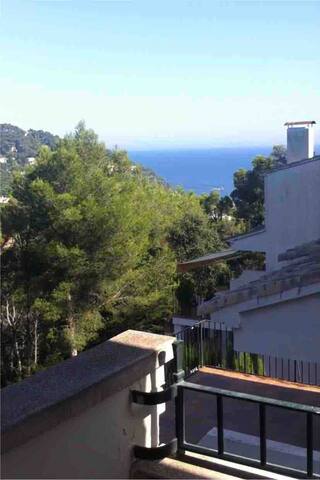 Lovely family home near the beach gallery image 4