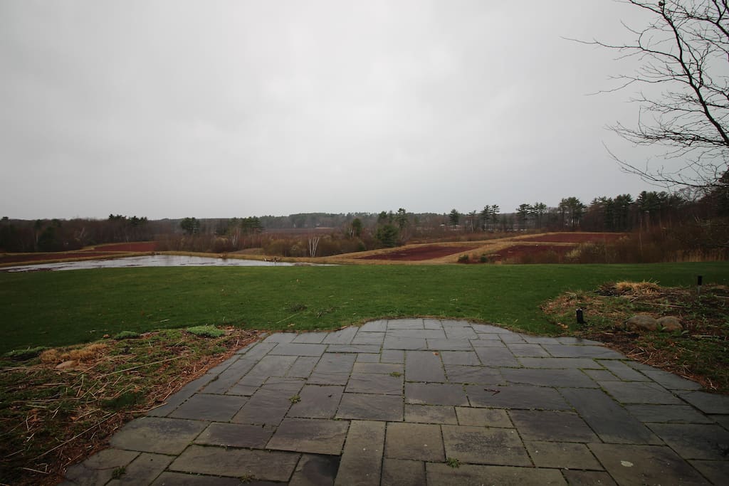 view of cranberry bogs