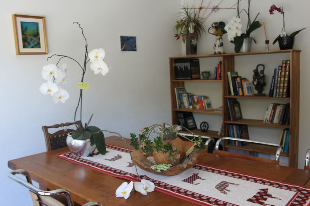 Le salon de lecture