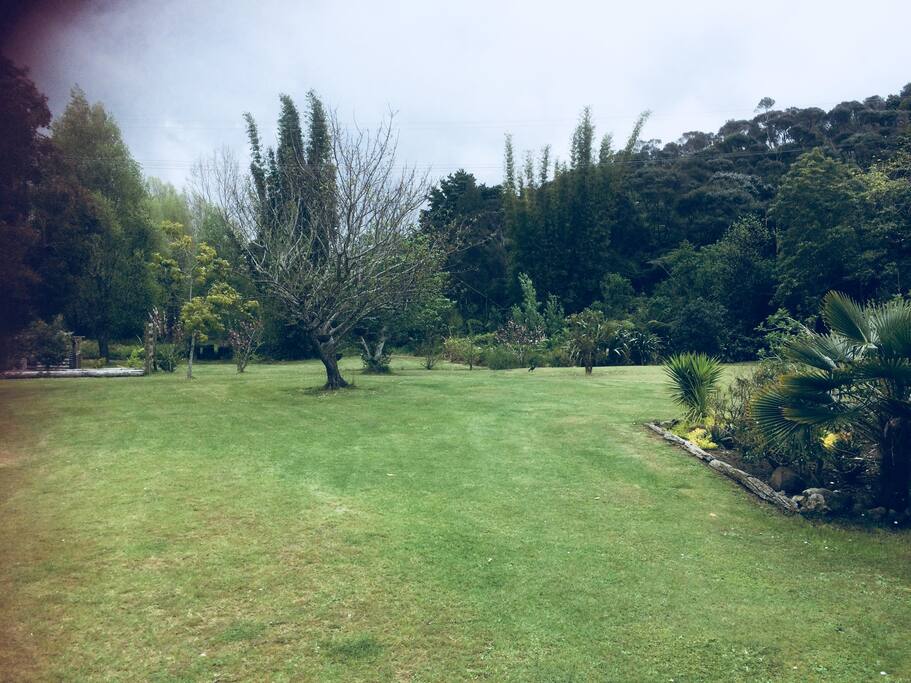 Part of parklike grounds