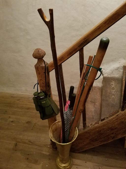 Walking sticks and binoculars