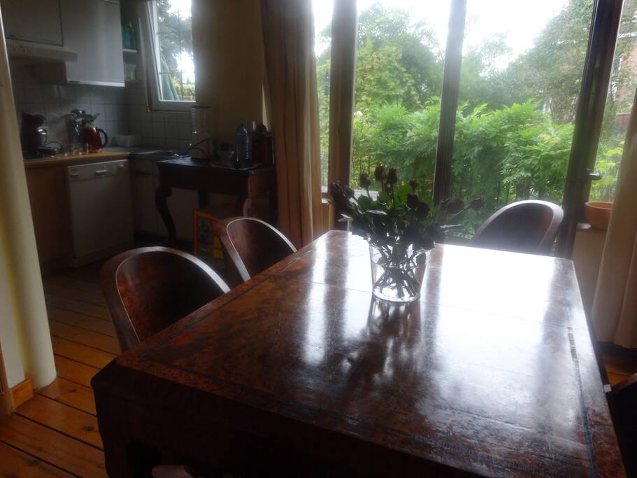 Kitchen with garden view