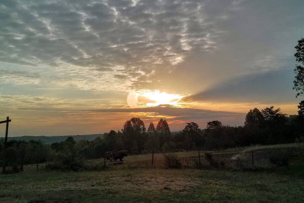 Steller View near Lake Hartwell and Clemson Houses for Rent in Martin