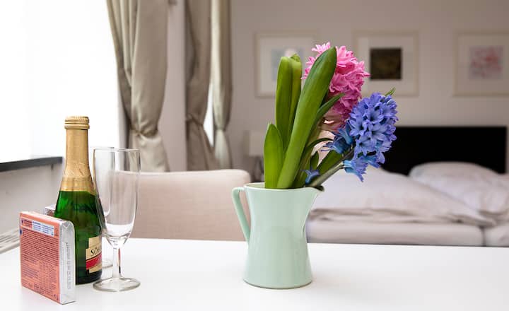 A Charming & Central Apartment - Vienna