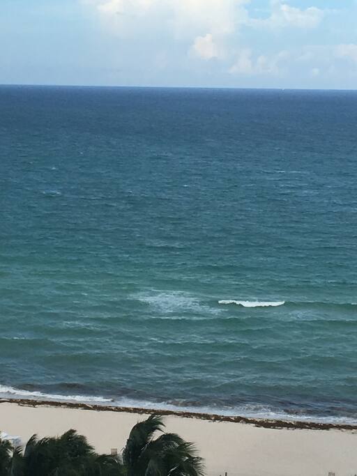 The Ocean