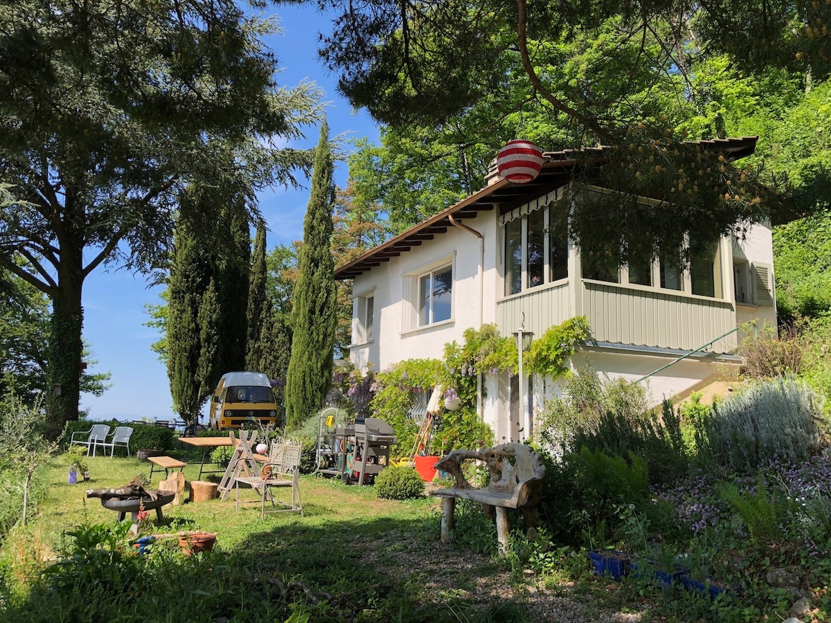 The exterior of the villa is surrounded by lush greenery, featuring a variety of trees and shrubs. Outdoor seating areas with tables and chairs are visible on the lawn, providing a serene setting. A glimpse of the landscape can be seen in the background.