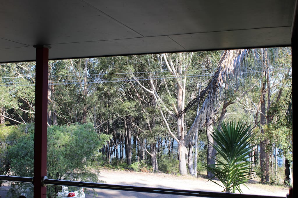 Balcony View