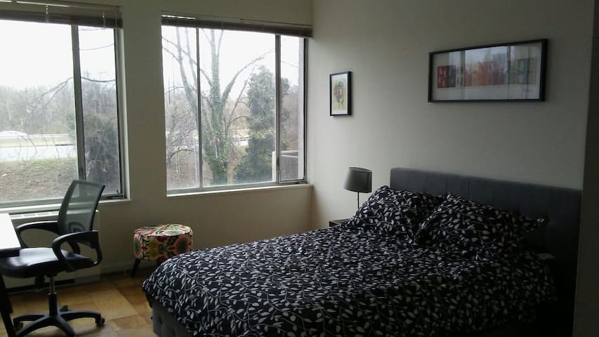 Large bedroom near Georgetown in apartment